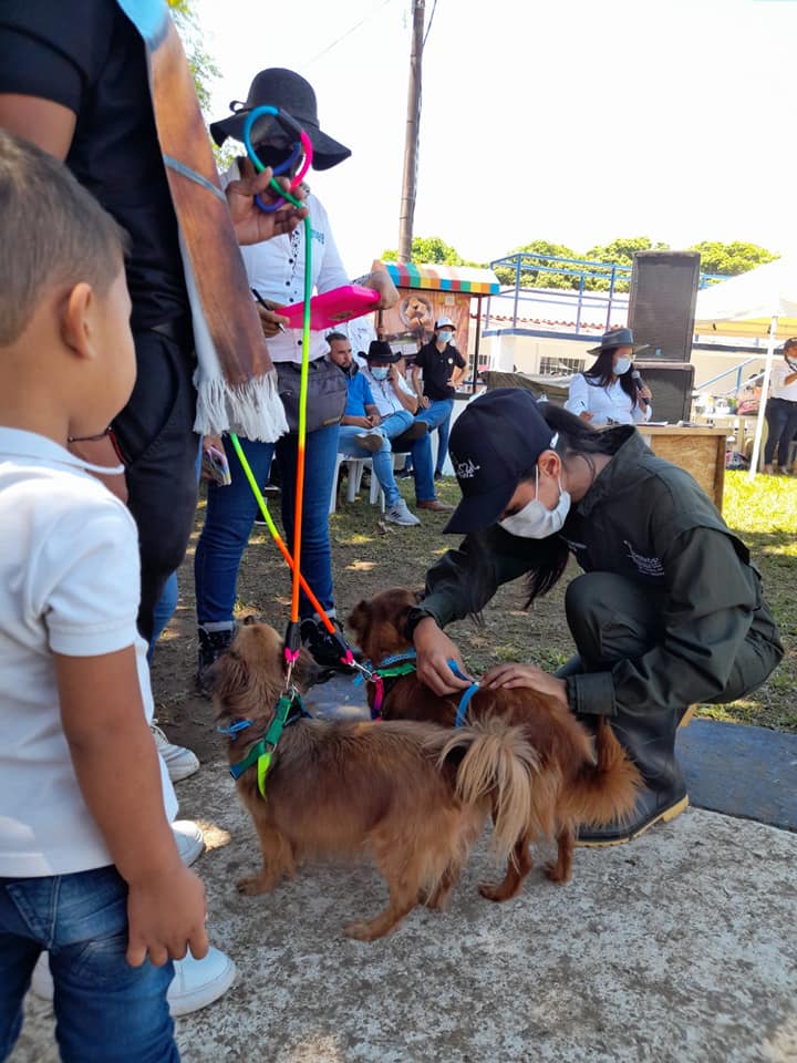 Concurso canino