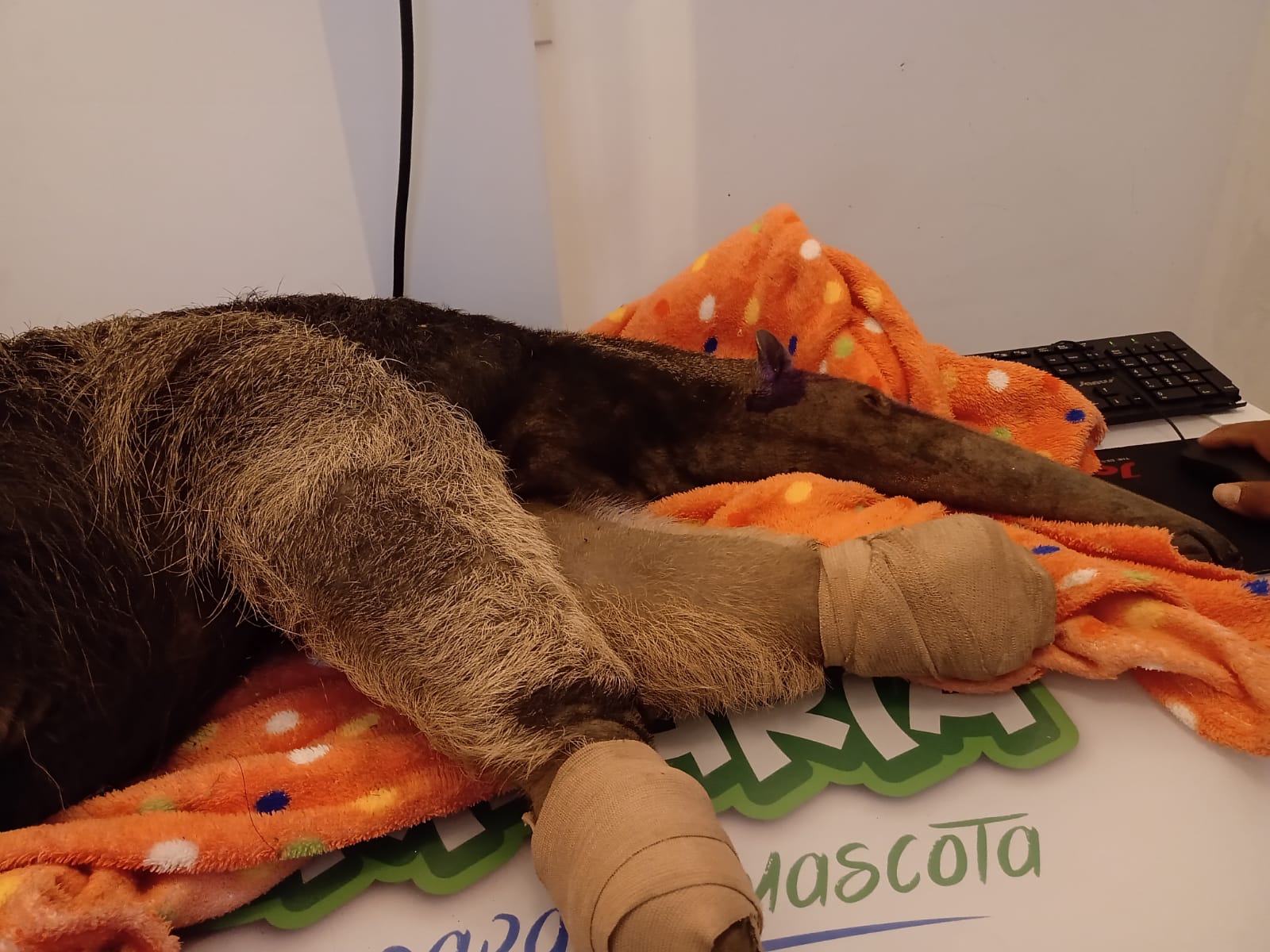 WhatsApp Image 2022 11 07 at 10.31.44 AM