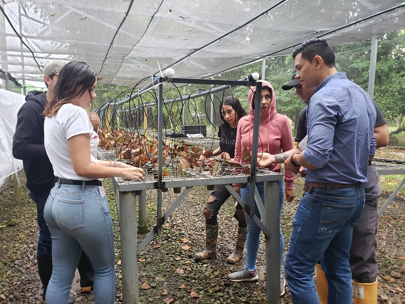 Agroforestal