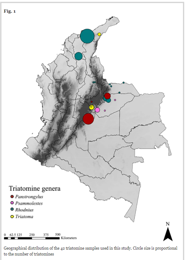 Investigación sobre Chagas última