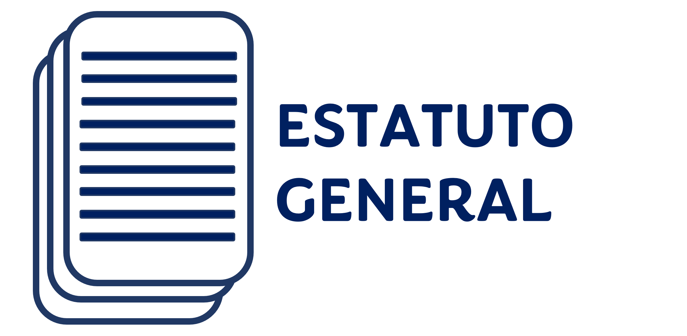 ESTATUTO GENERAL