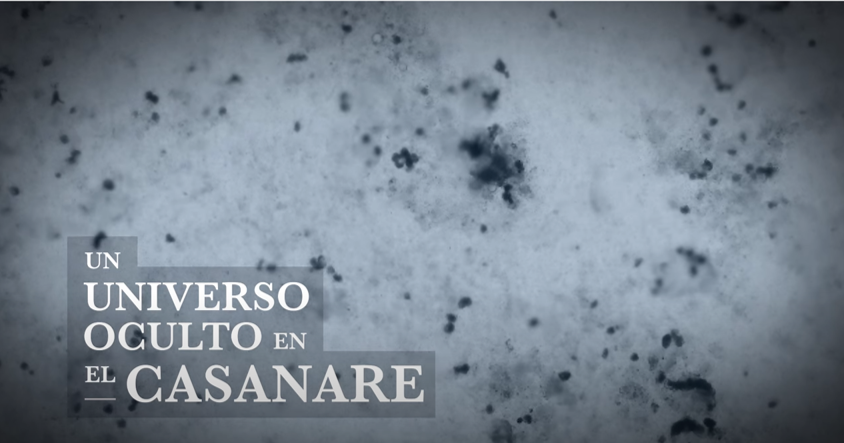 El universo oculto en Casanare