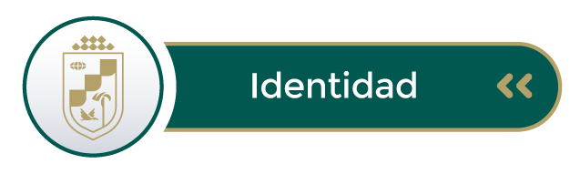 Identidad