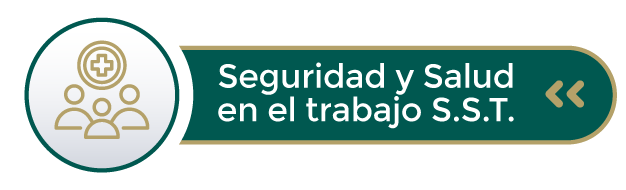 seguridadysalud