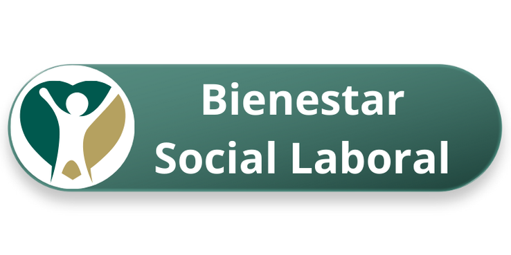 Bienestar_Social_Laboral_2_1.png