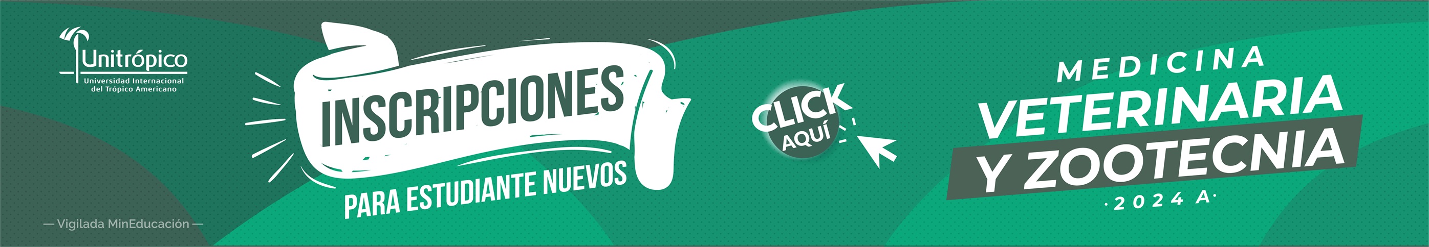 banner-mvz-2024-A-02.jpg