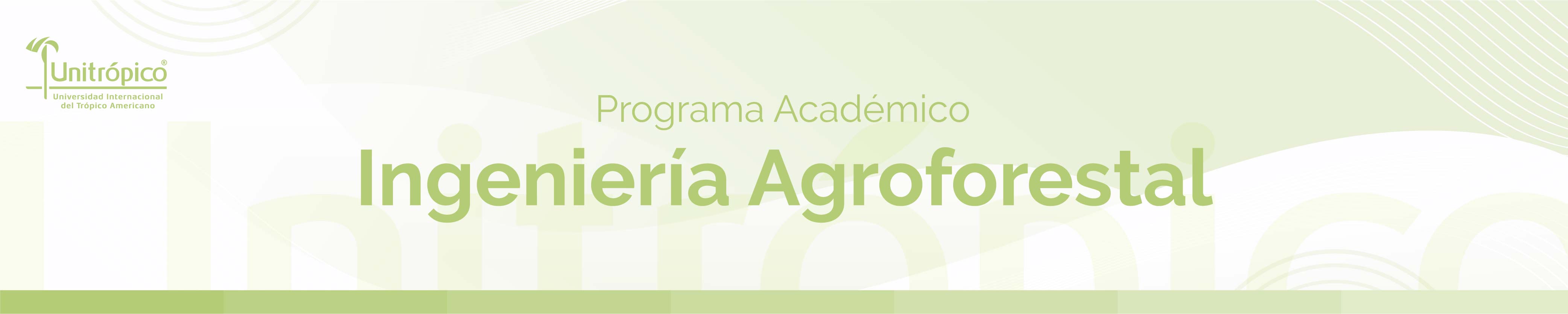 banner-pregrado-03.jpg