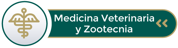 boton-veterinaria.png