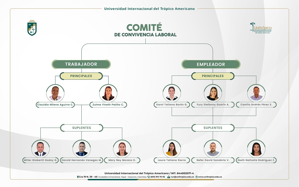 diseno-estructura-organica-convivencia-laboral-01_1.jpg