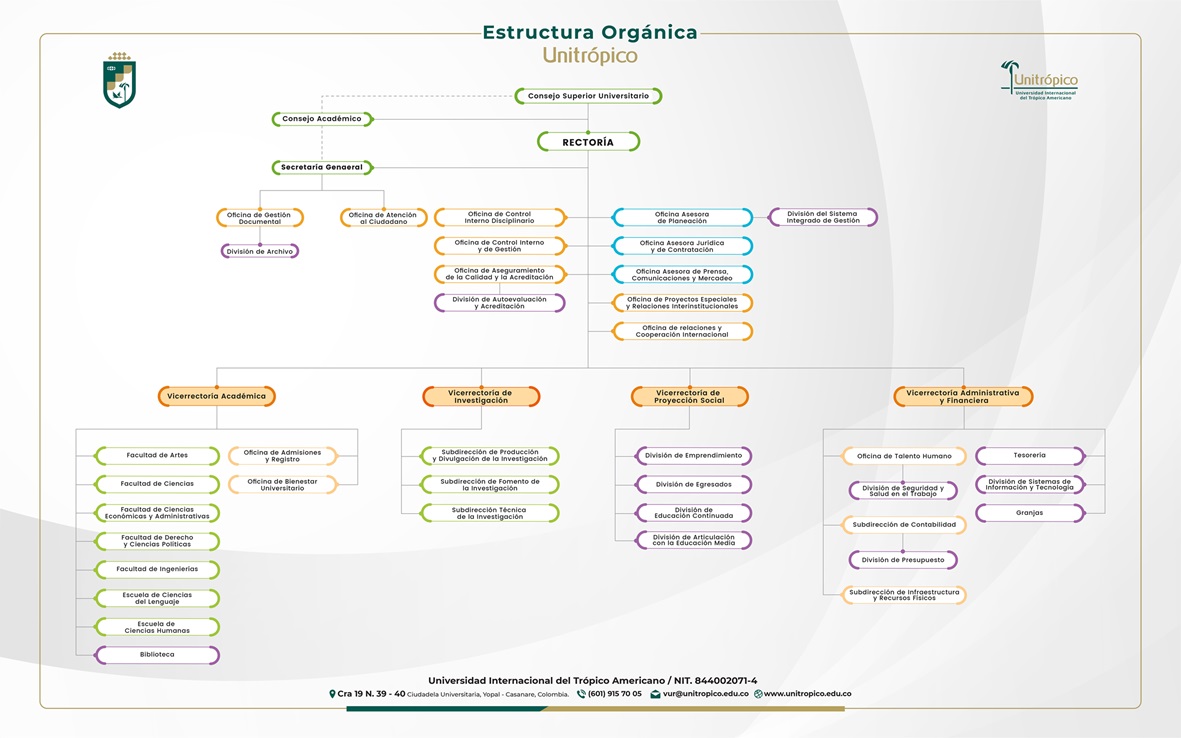 diseno-estructura.organica-2023-01.jpg