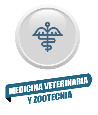 icono-veterinaria.png