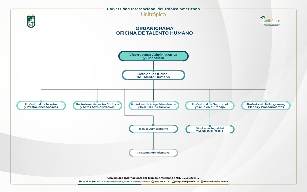 organigrama-talento-humano-01.jpg